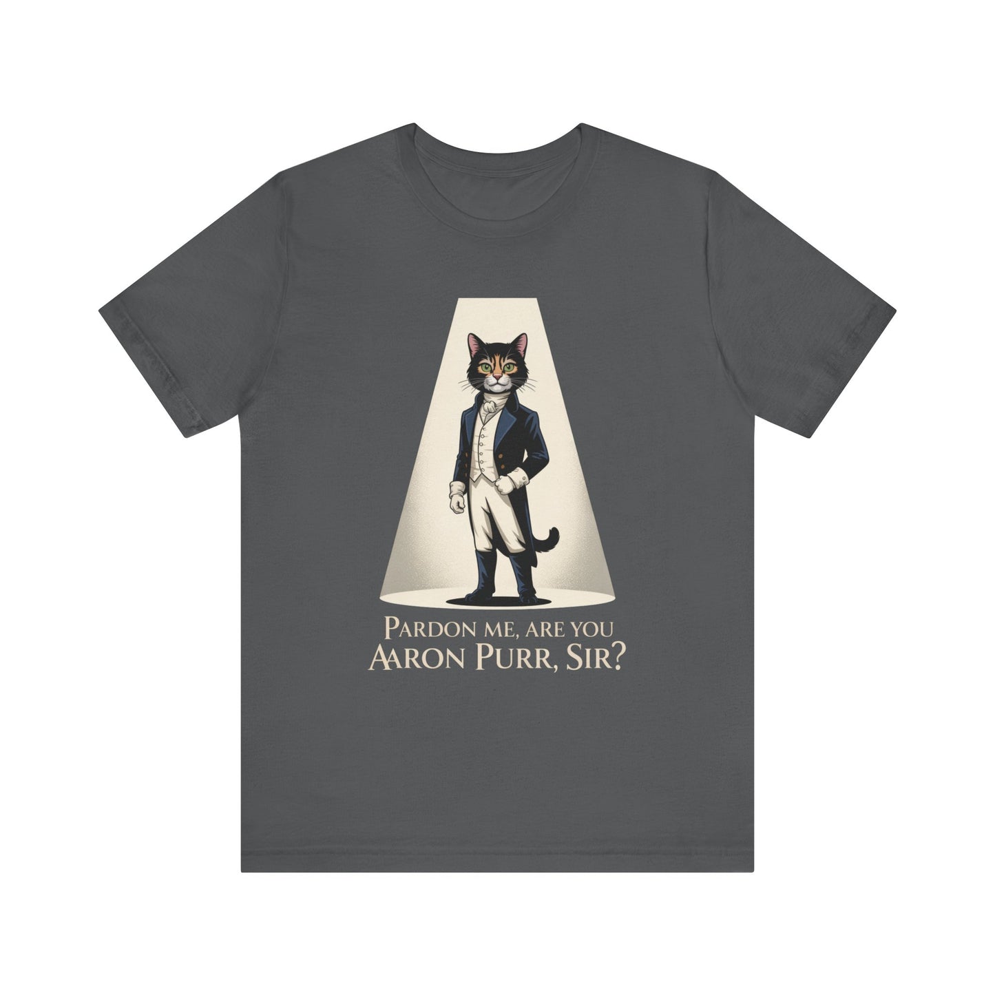 Hamilton Are You Aaron Purr Sir? Unisex Adult Tee