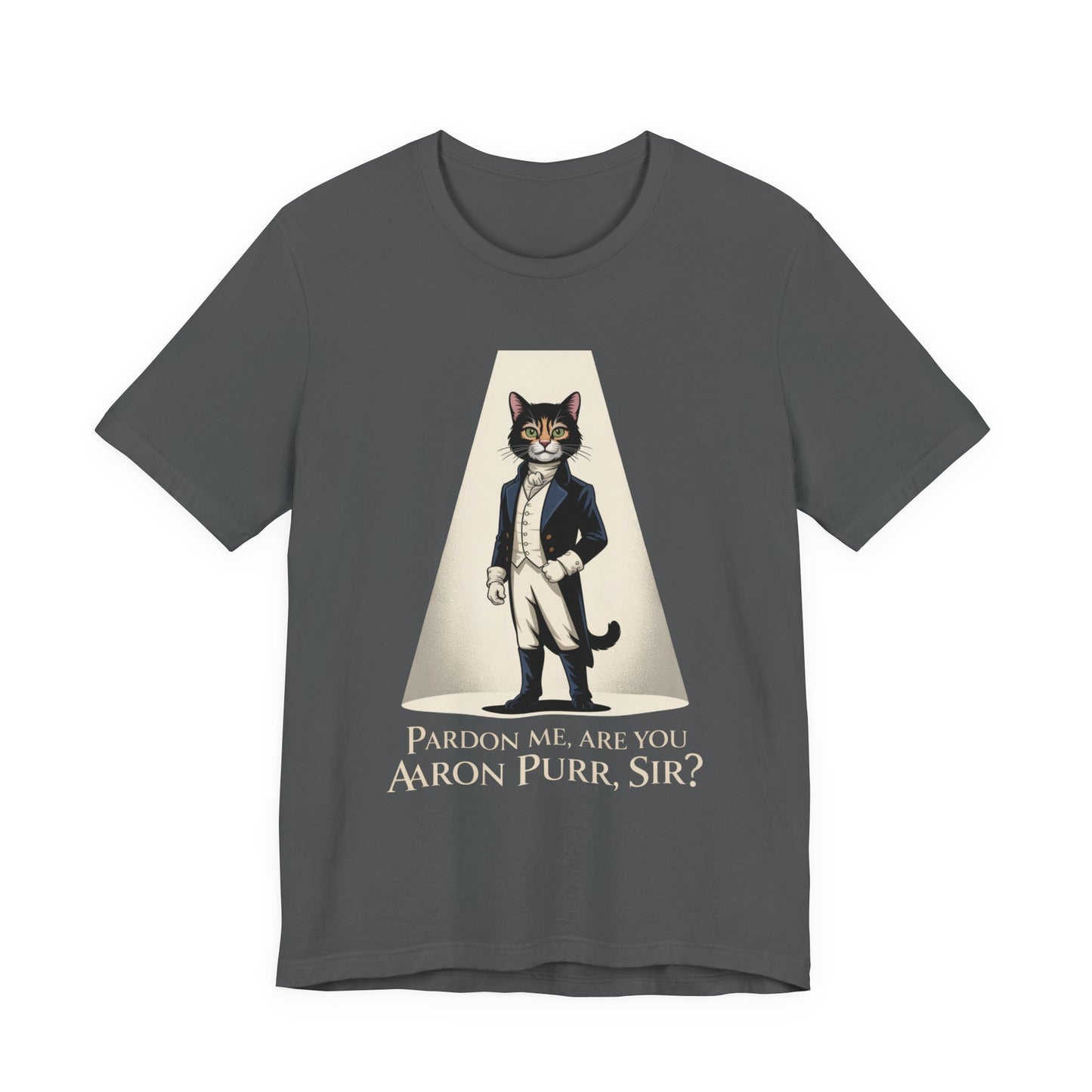 Hamilton Are You Aaron Purr Sir? Unisex Adult Tee