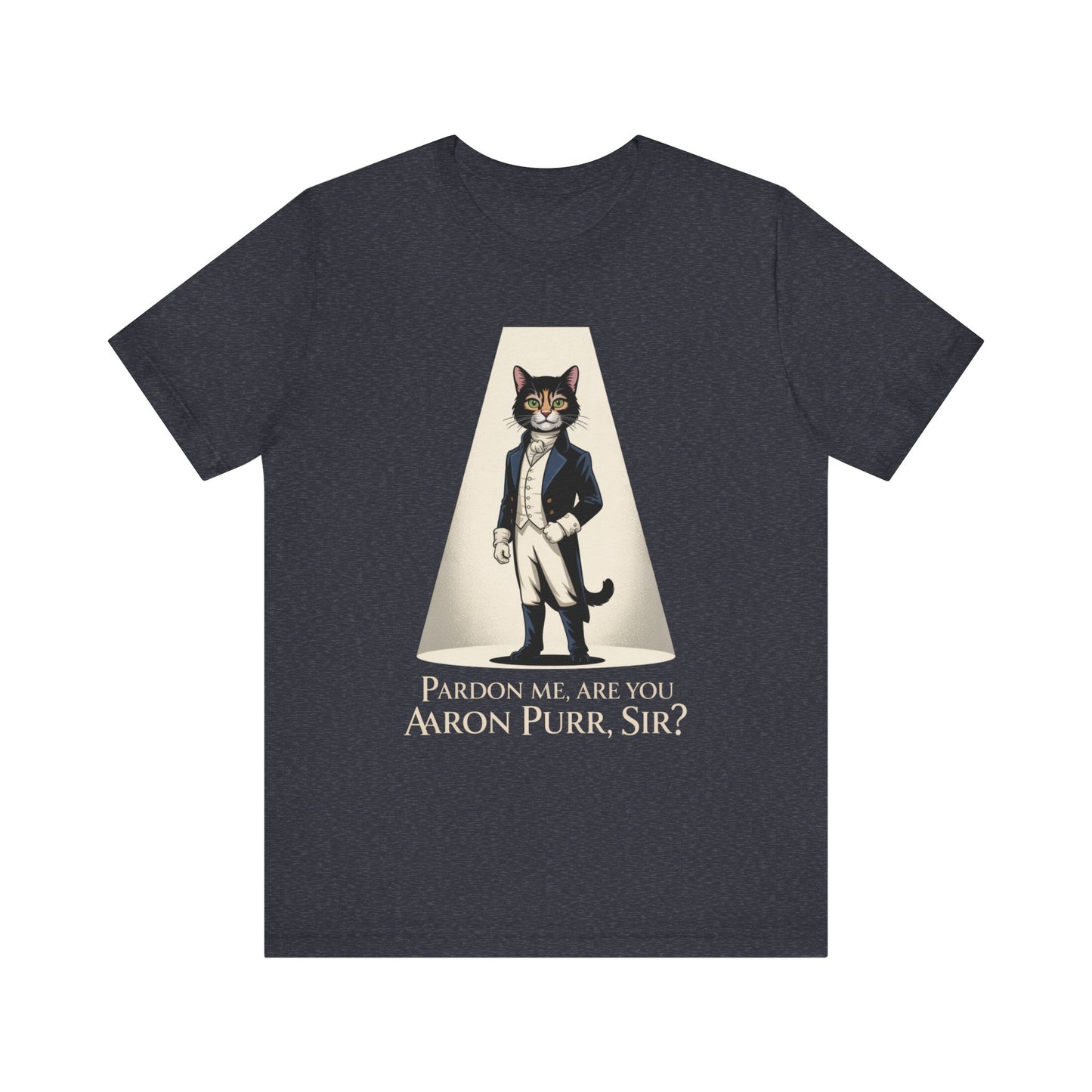 Hamilton Are You Aaron Purr Sir? Unisex Adult Tee